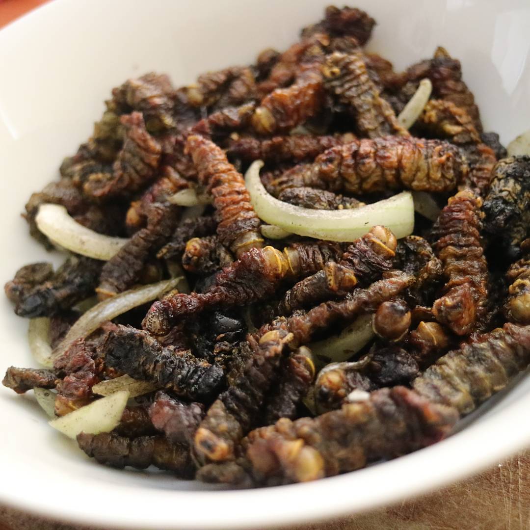 Infinkubala (Mopani Worms)